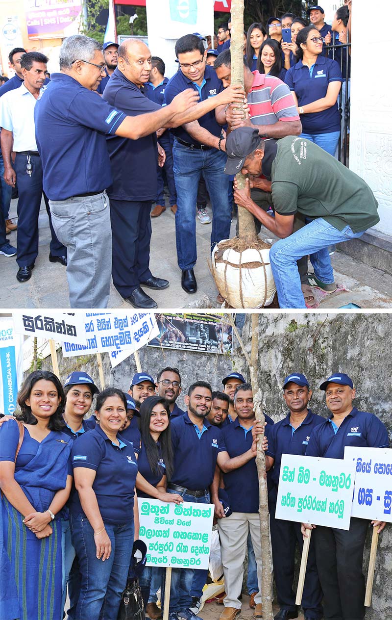 Commercial Bank’s Chief Operating Officer Mr Sanath Manatunge (Above, centre), Kandy Mayor Mr Kesara Senanayake (2nd from left) and the Bank’s Regional Manager - Central Region Mr Saneth Jayasundera planting a tree and (Below) staff of Commercial Bank branches in the Central Region participating in the project.