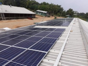 Crysbro energises sustainable farming practices with solar power