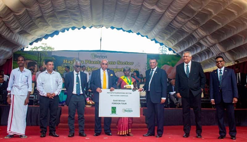 Gold Award winner for Kelani Valley Plantations PLC Subramaniyam Kamaleswari with Hayleys PLC Chairman and Chief Executive, Mohan Pandithage and Hayleys Plantations Managing Director, Dr. Roshan Rajadurai.
