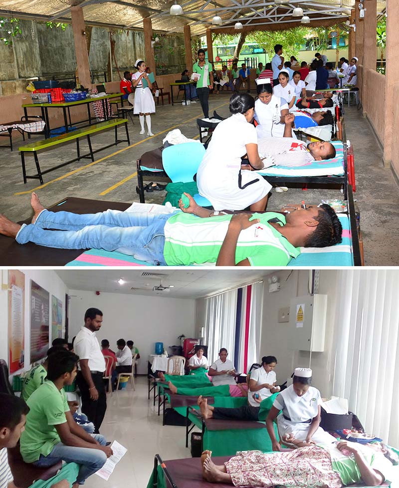 Blood-Donation—10-years