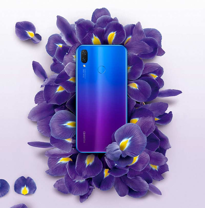 Iris-Purple