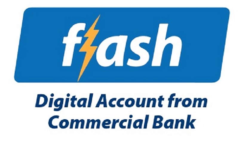 Flash-Logo