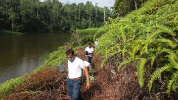 Nations Trust Bank Plants Saplings Across Hiyare Rainforest-1