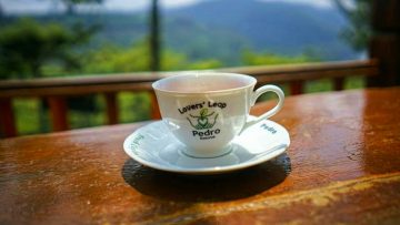 2. Pedro Estate is the source of some of the world’s best teas under the Mahagastota and Lovers Leap marks
