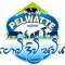 Pelwatte Dairy – SAP Logo