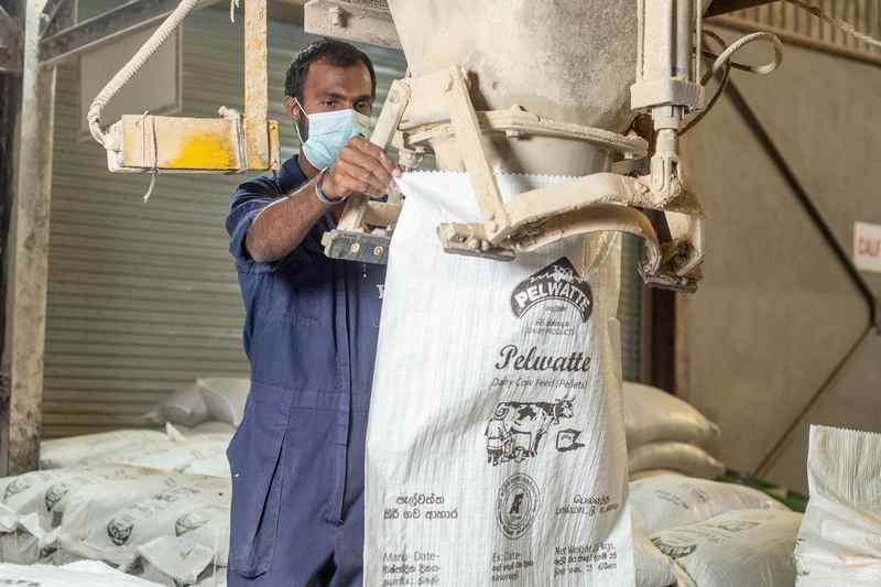 How Pelwatte makes own animal feed to formulate its creamy rich dairy  portfolio - Ceylon Business Reporter