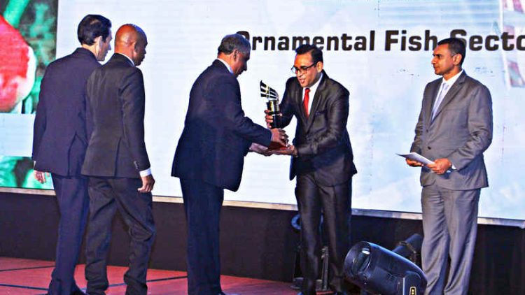 Lumbini-Aquaria-NCE-Gold-Award-2022