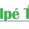 Halpe Tea Logo